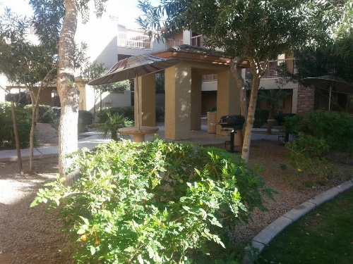 Siegel Select Casa Grande image 10